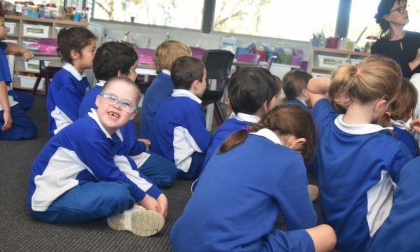 school consultancy