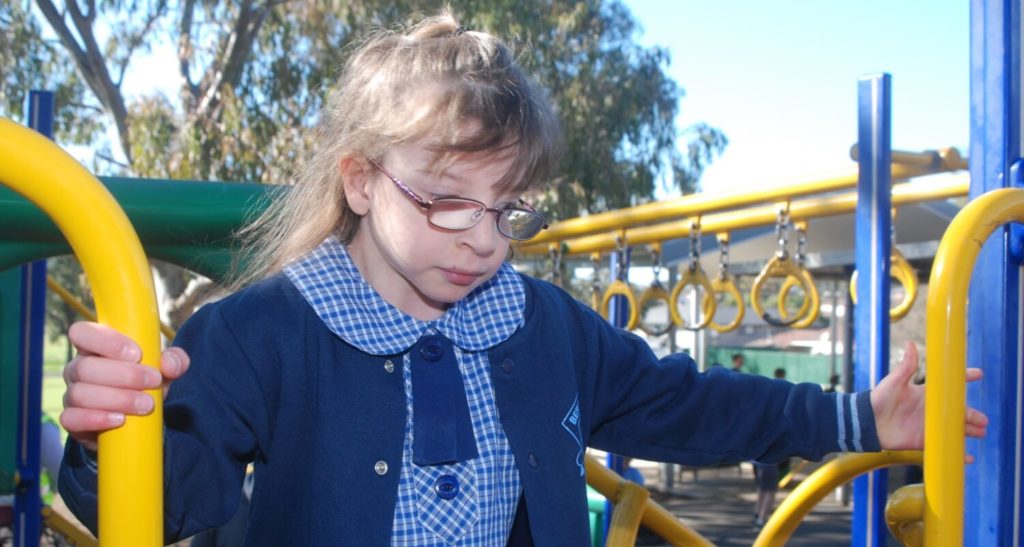 school options